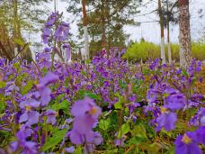 杨浦公园-上海-Mike达