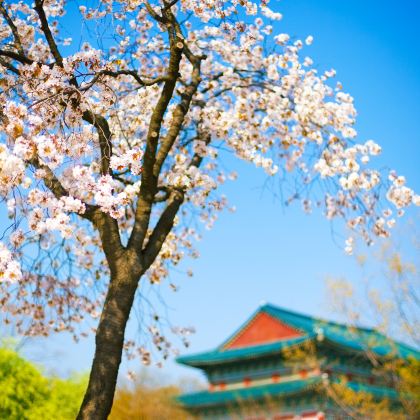 韩国首尔7日6晚跟团游