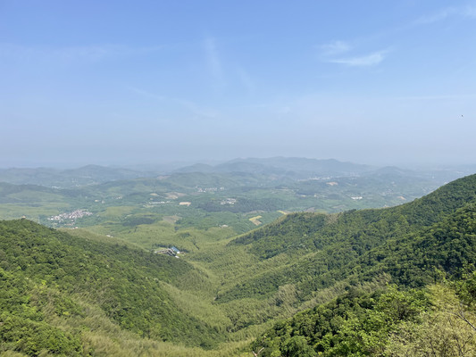 五一赶“人潮”-- 江苏常州四日游