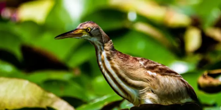 黔西南州體育公園