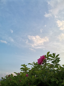 临夏回族自治州游记图文-东乡的云