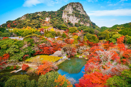 秋冬游日本 五天玩遍北九州
