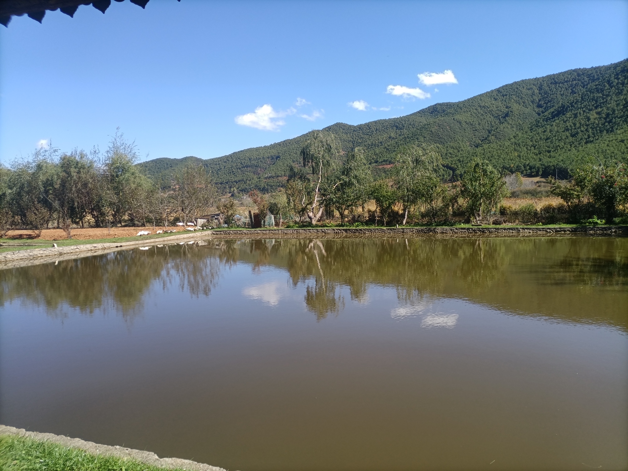 盐源县田园休闲农庄餐厅图片
