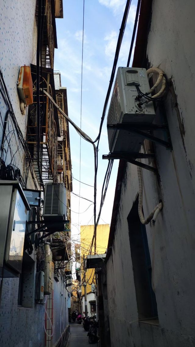 定心塔旅行图片 6