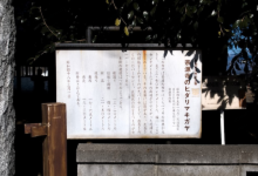 宗源寺景点图片