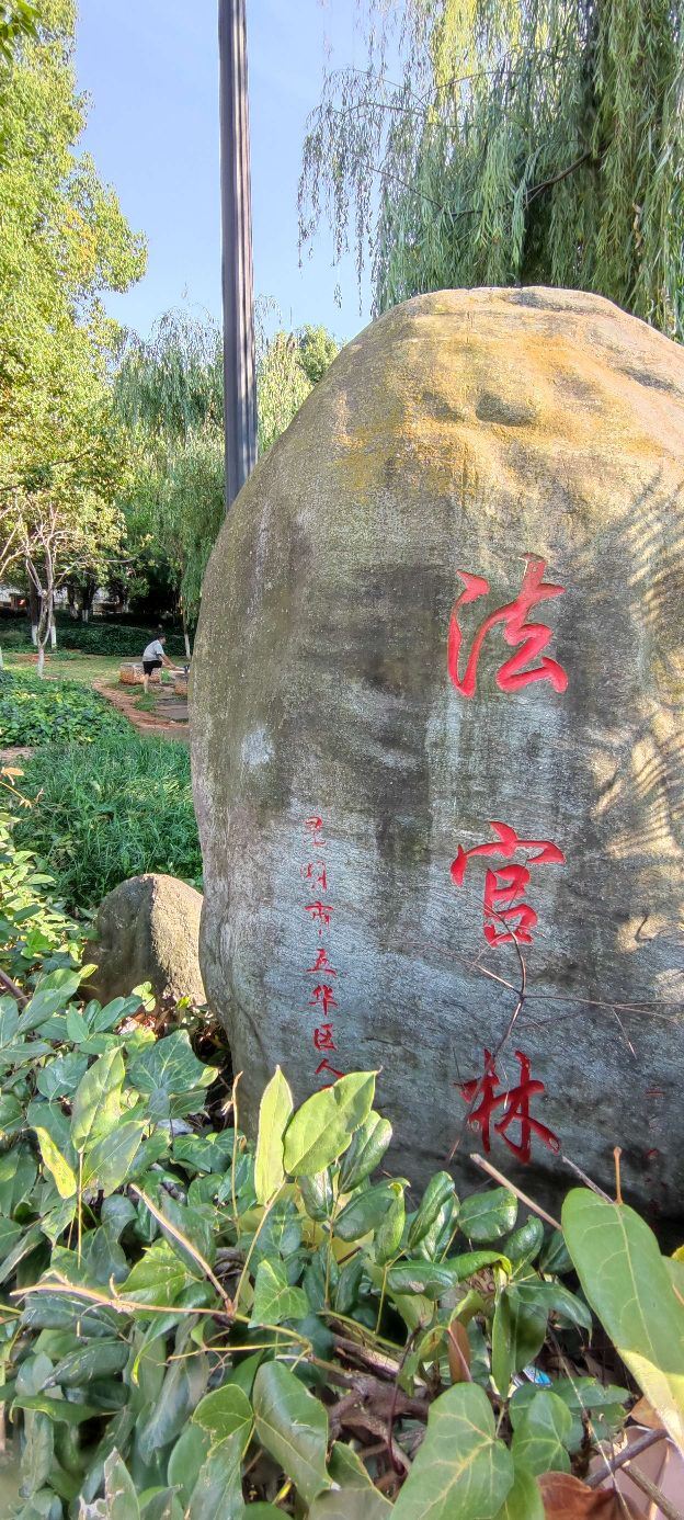 法官林旅行图片 1