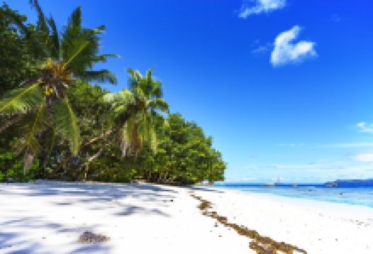 Severe海湾景点图片