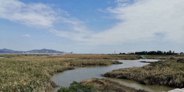 闽江河口国家湿地公园旅行图片 1