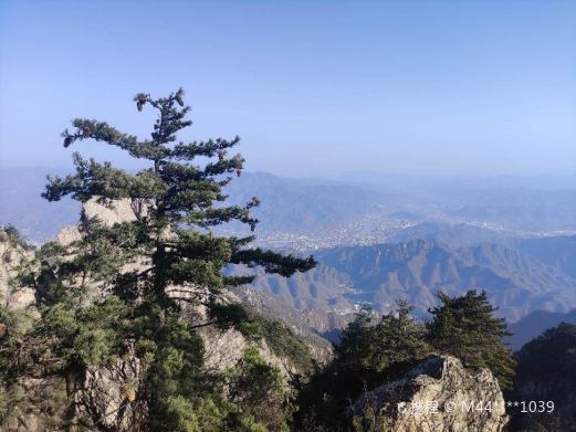 伏牛山主峰