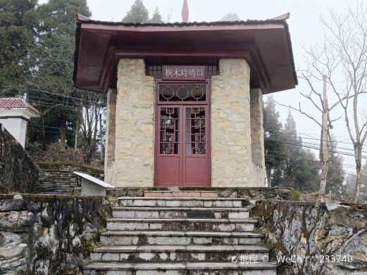 桐木岭景区