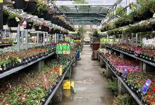Garden Center at The Home Depot购物图片