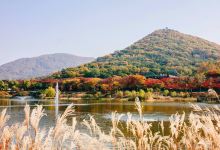 仁川大公园景点图片