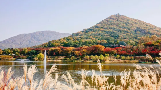 仁川大公園