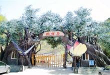 栾川蝴蝶谷景区景点图片
