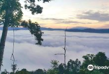 爱育吻云海景点图片