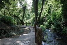 阁皂山风景名胜区-樟树