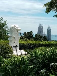 花柏山公园-新加坡-探索大自然