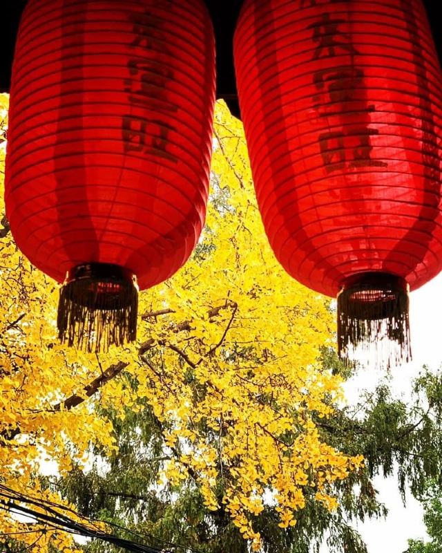 龙华塔旅行图片 9