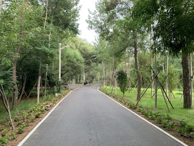 海滨国家森林公园旅行图片 3