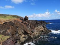 复活节岛-复活节岛-一只胖腊肠