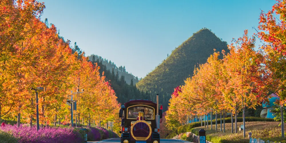 永安旅遊