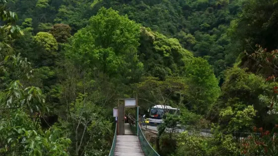 中南林業科技大學蘆頭實驗林場