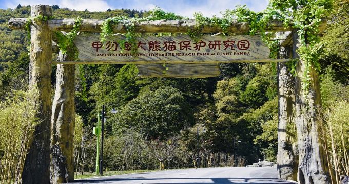 甲勿海·熊猫园景区