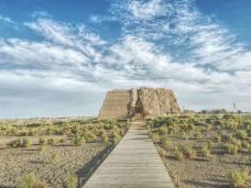 玉门关-敦煌-百合1203