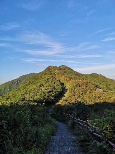 大围山国家森林公园-浏阳-gz伊妹儿