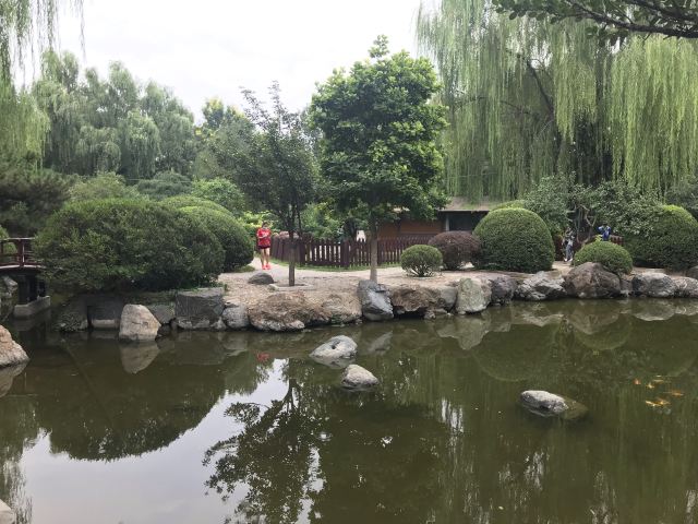 双秀公园旅行图片 12