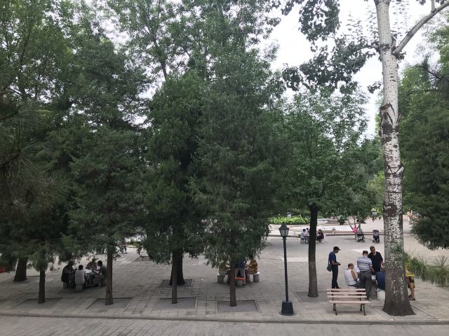 双秀公园旅行图片 6