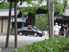 京都御所-京都-翱翔的大鲨鱼