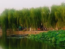 曲水亭街-济南-ke80keke80ke