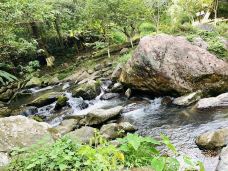 野趣沟-河源-不一样的花茶