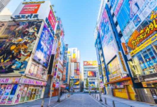 秋叶原电器街景点图片