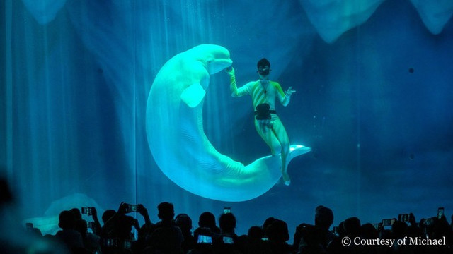 梦想成真,带你解锁魔都世界级网红新地标