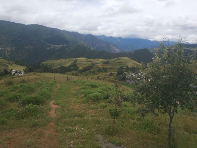 香格里拉·哈巴雪山·观景台旅行图片 4
