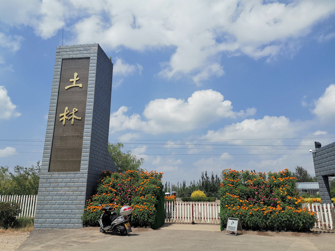 到大同一定不要錯過大同土林。