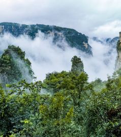 保康游记图文-去襄阳避暑，走进神秘大峡谷，感受山中的“深”生活