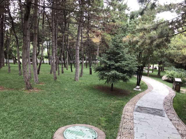 兰山公园旅行图片 1