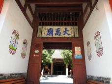 大禹庙-韩城-大松树叶子