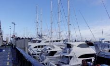 豪拉基湾-奥克兰-小小呆60