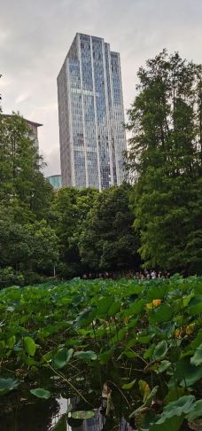人民公园-上海