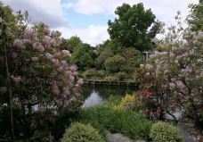 梦娜维尔花园-基督城-小小呆60