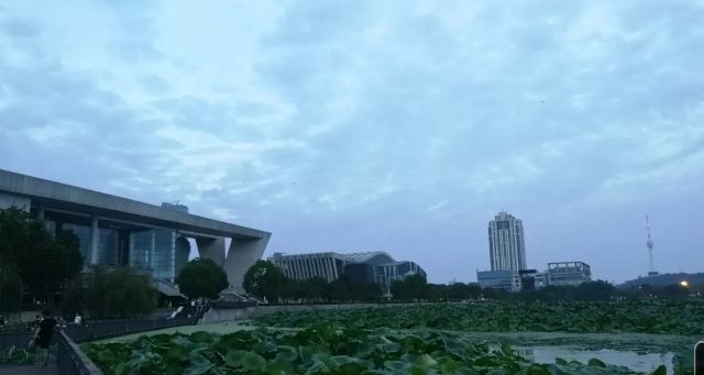 琴台小森林旅行图片 1
