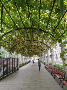 金丰农科园-廊坊-勇者无惧