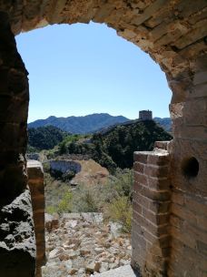 乌龙沟长城-涞源-大松树叶子