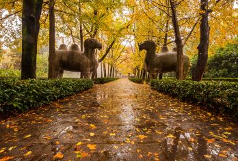 钟山风景区|中山陵+音乐台+明孝陵+美龄宫+梧桐大道一日【全程每人提供无线耳麦讲解，讲解更清楚~~行动更自如~~无购物，无自费，更深度，告别走马观花。】