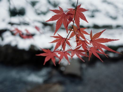 九溪十八涧