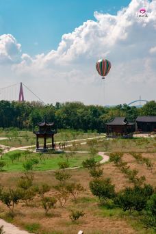 墨潭桃花岛-吉水-YoYo_3B6I7Q0C